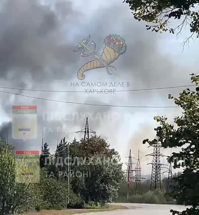 ������ ������ � ��������, ����������� �������