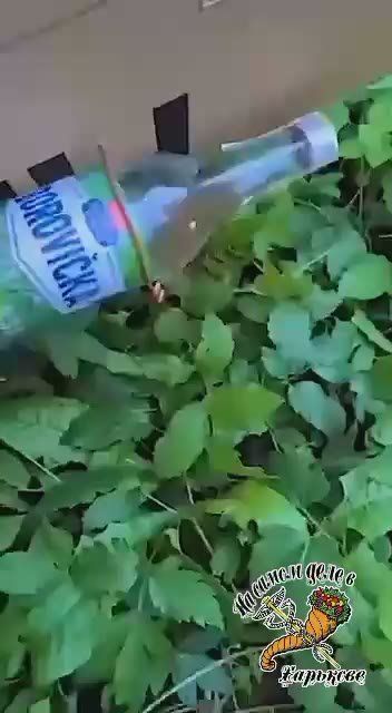 ����: �������? ��� ���� ����� ����� �����!