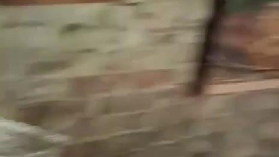 �������. ������ ������ ��� ������ ������ ��������