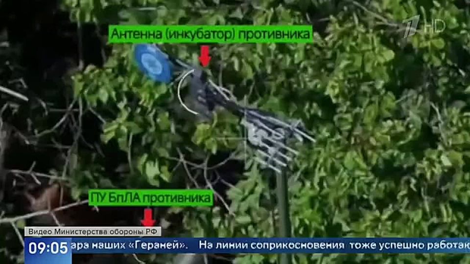 � ������ ��������� � ���������� ����� ������ ���������� � �������