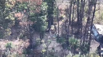 Нет, это не Maus, а польская САУ Краб ВСУ, которая была уничтожена нашими воинами в Харьковской области