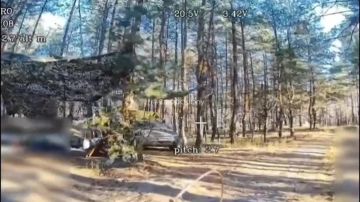 Евгений Поддубный: Фронт на Купянском направлении кипит