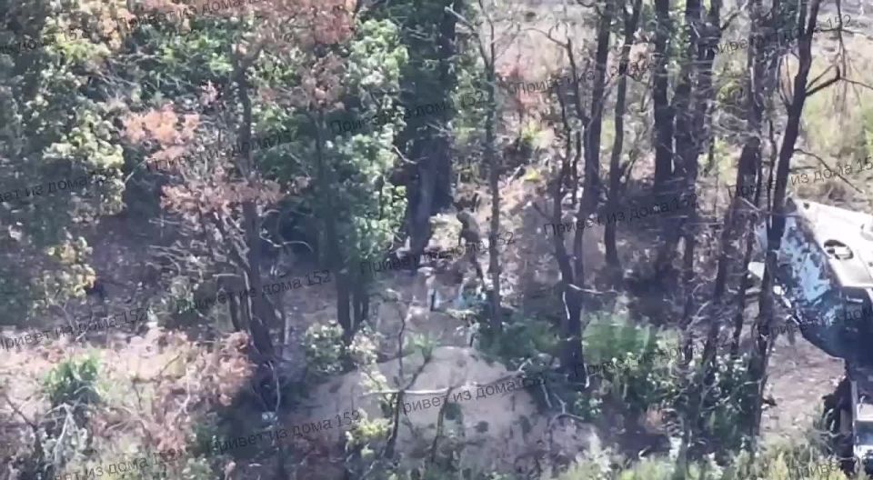 ���, ��� �� Maus, � �������� ��� ���� ���, ������� ���� ���������� ������ ������� � ����������� �������