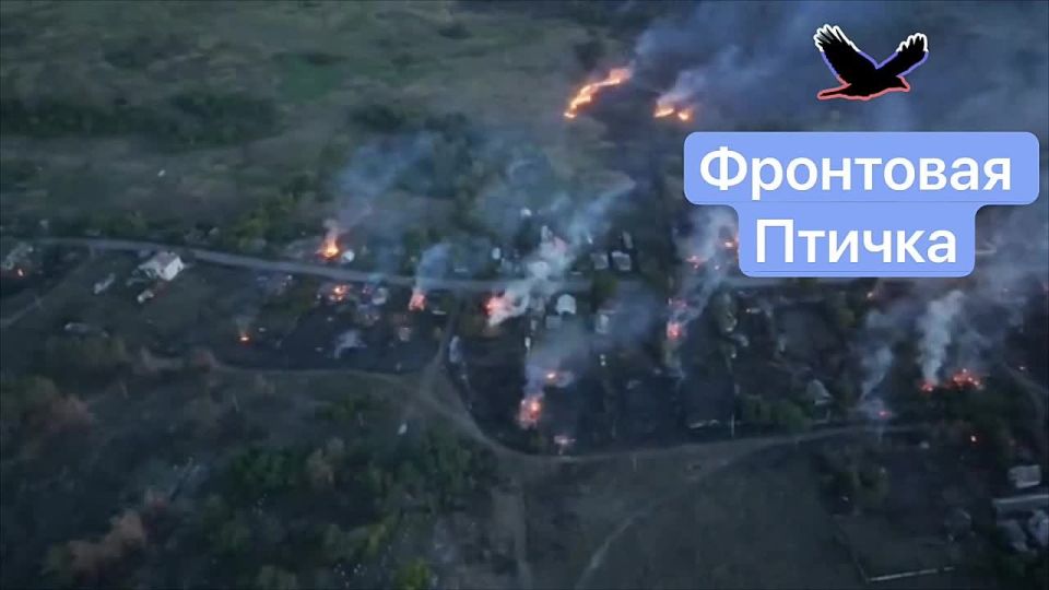 Ямполь. Лиманское направление