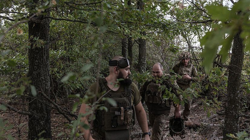 ��� �������: � ����������� ������� ������� �������������� �������� ���