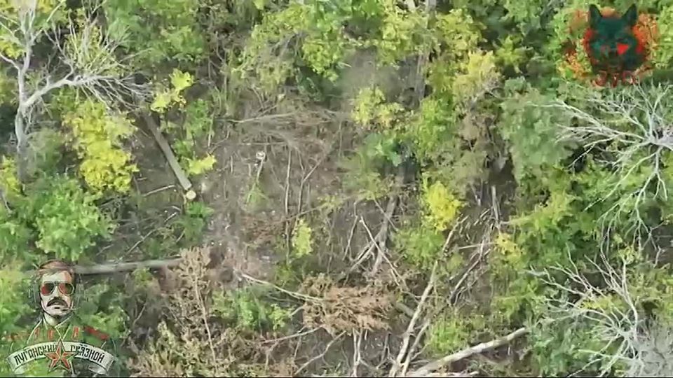 ����������� ������ ���������� ���� ��� � ���������� ������� � ������ ��������