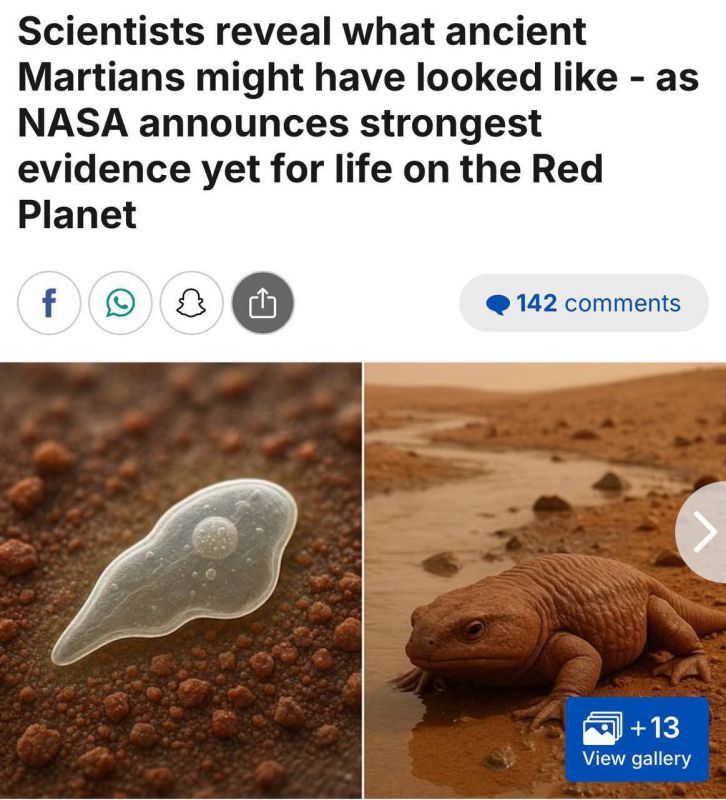 �� ����� ������� �������� ����� � ������� �� 30 ��� ������������