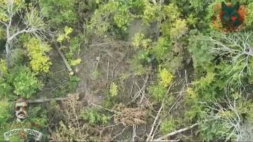 Уничтожение пункта управления БПЛА ВСУ и минометной позиции в районе Купянска