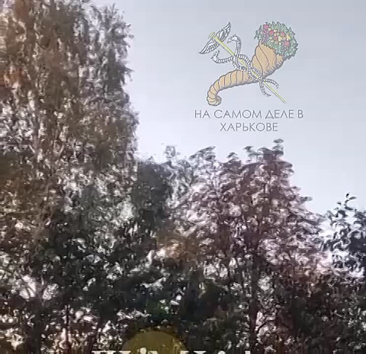 В Чугуеве прилеты. Пять Геранек достигли целей