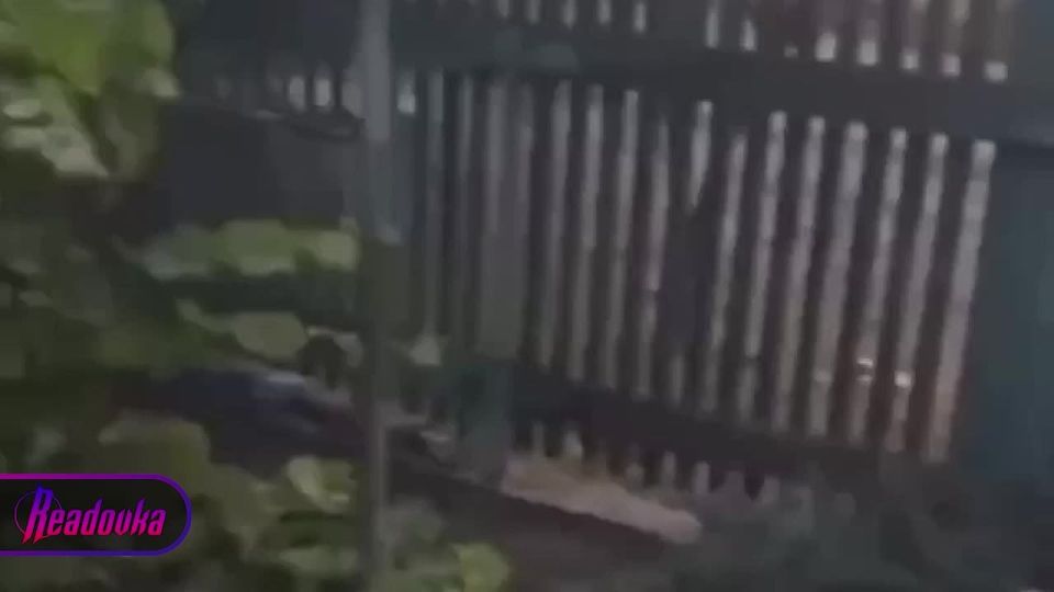 ������� ����� ������� ���� �� ����� ������ ��������������� ������ �� �������