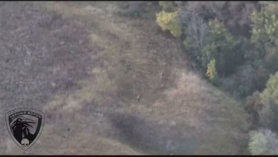 ������� ��������: ����������� �������.. ������ ������� ������ ������� ���� �׸���� ������