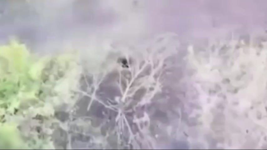 �� �� ���������� 15-� ���� ���������� ��� �����-���, ������� ������� ��������� ����� �������� � �������� ��� ��������� � ���� ����� �������