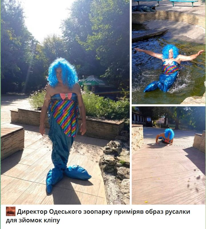 Русалочка уже не та. ПОДПИСАТЬСЯ Наш чат