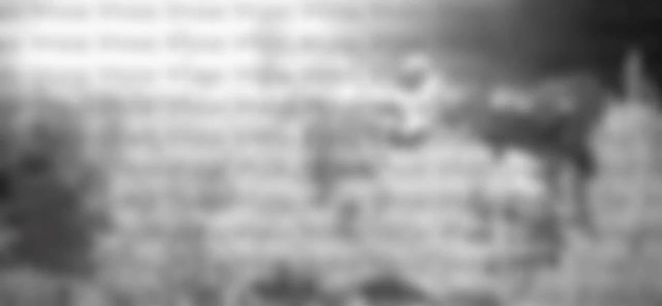 �� ������ ���������� �������� ���� �� �������