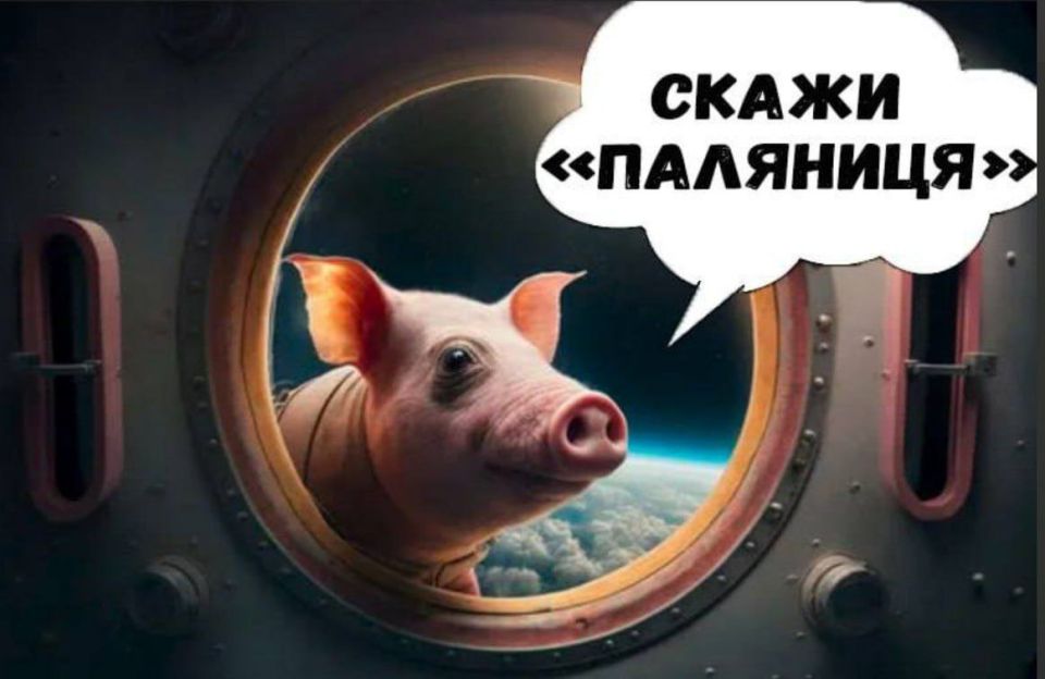 ���� ����� ������� ����������� ������ �� ����� 2025 ����