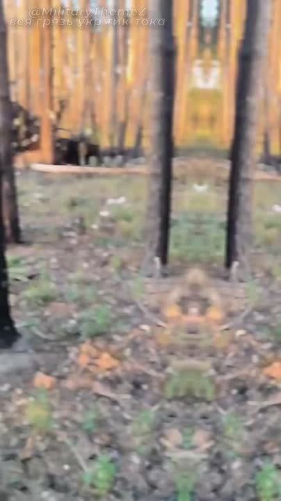 ������������ �������� ������� �� ����������� ����������� ���� �-64�� � �������� �������� ���