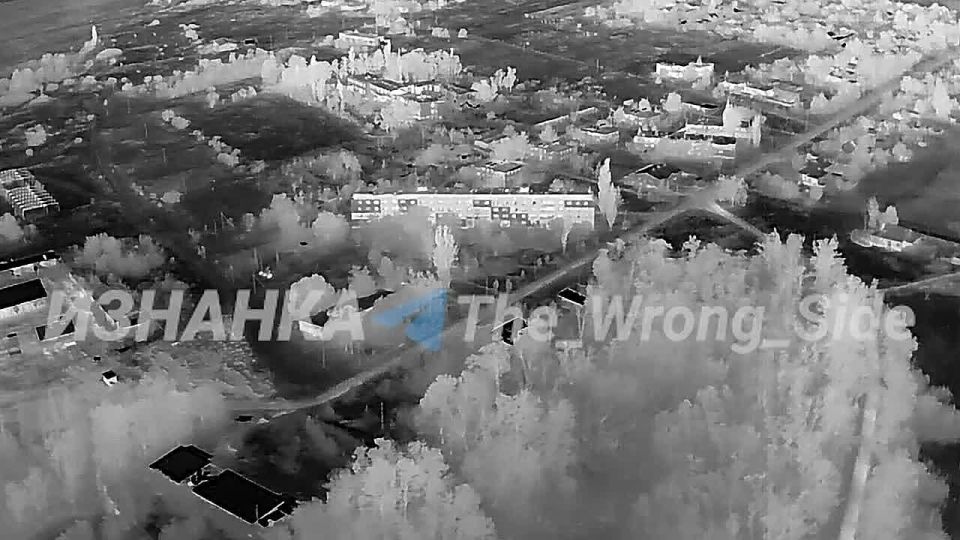 ����������� �����������: ������������ ��� � ��������� � ����������� ���������� ���