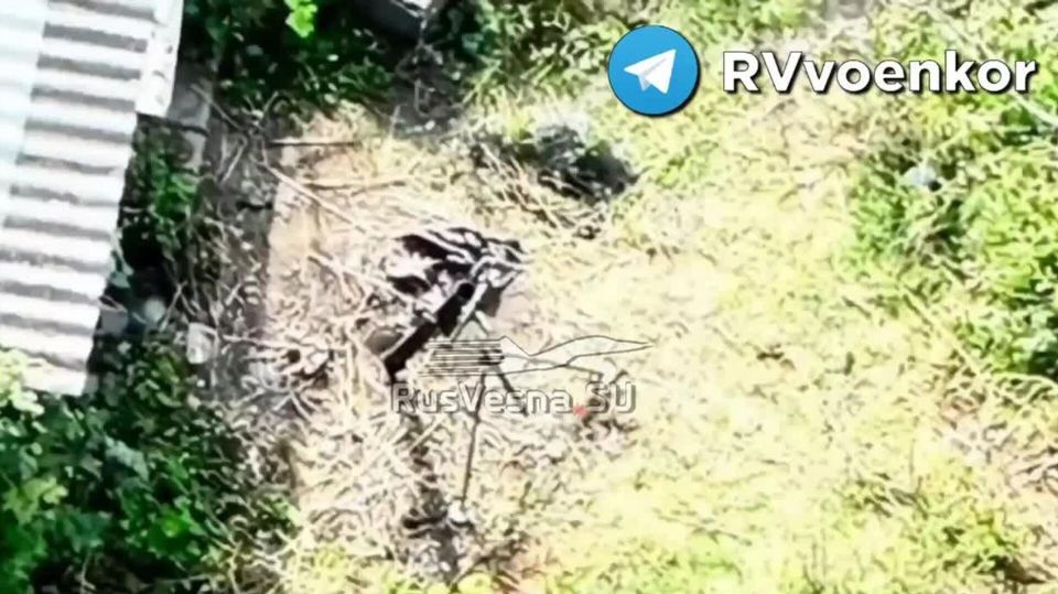 � ���� �� �������� 1009 ���� ��� ���� ������������ ���