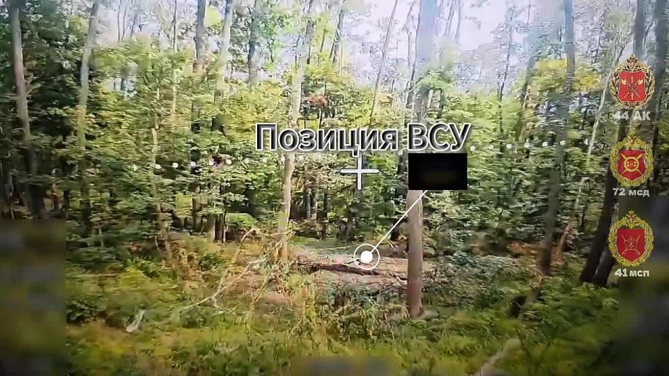 ������ ���������. ����������� �������