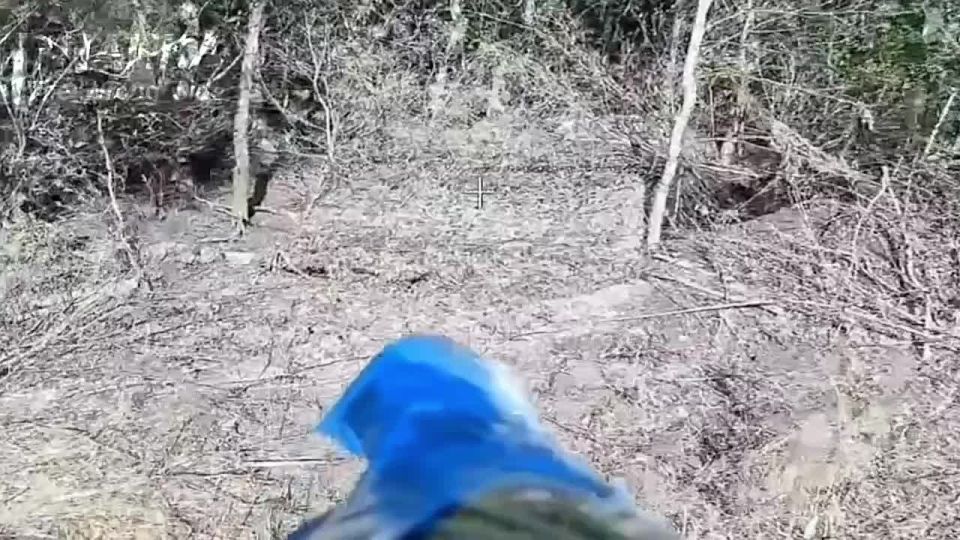 Уничтожение украинской гаубицы Д-30 в районе н.п. Василевка на Купянском направлении