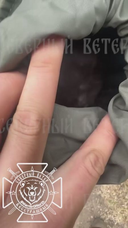 ������. ����� 810 ������� ������� ������ ������ � �������� ����� ��������� ����� �� ������� �������