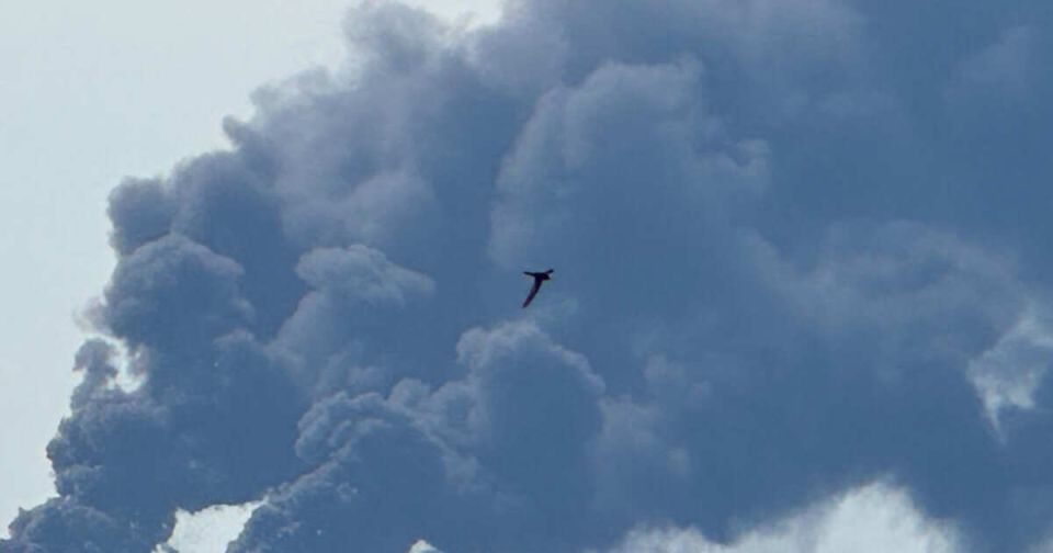 �� ������� �������� � ������� � ����������� � ���������� ��������