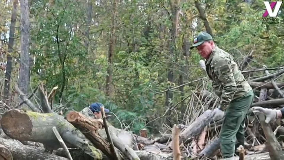 ���������� ������-����������� ������������� ��������� ������ �� ��������� � �������� ���� ��� ������ �� ���������� �������������, ������� ������ �� ����������� �����������