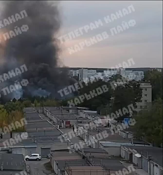 �� ������ ������� ����� �� �������� ����� � ��������