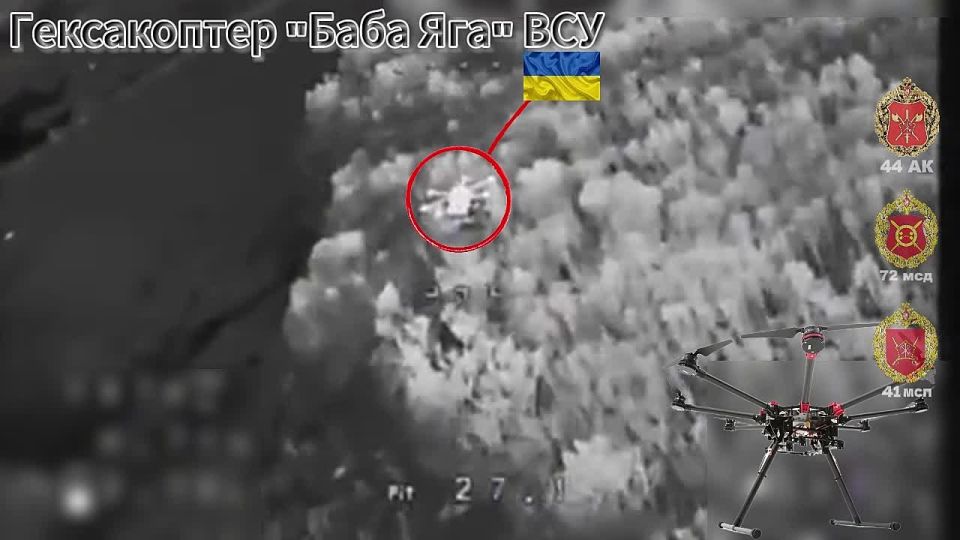 ����������. ����������� ������� ������ ���� 41 ��� 44 ���������� ������� ����� ����������� ��� ����� ���