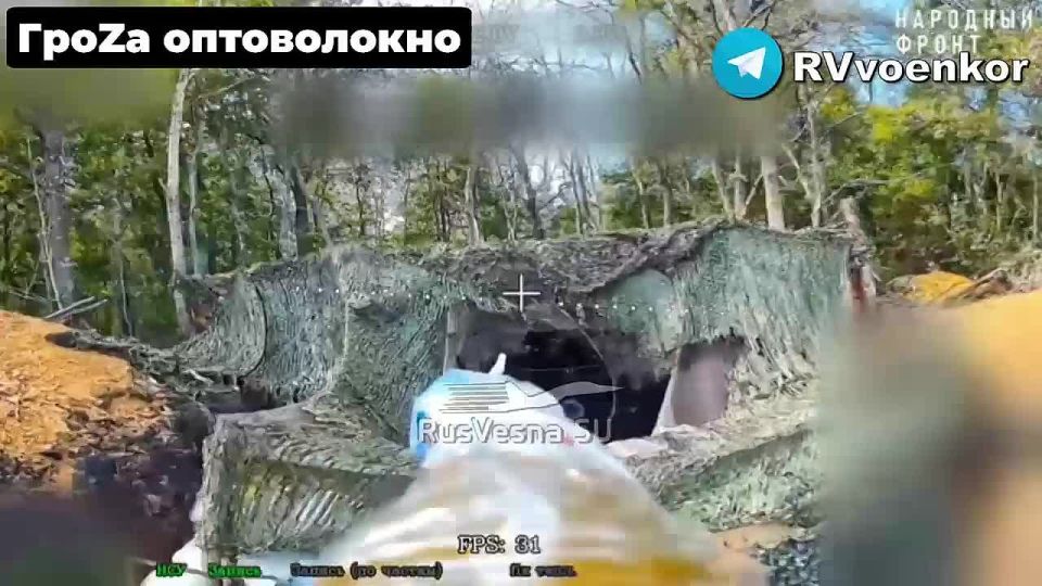   :           