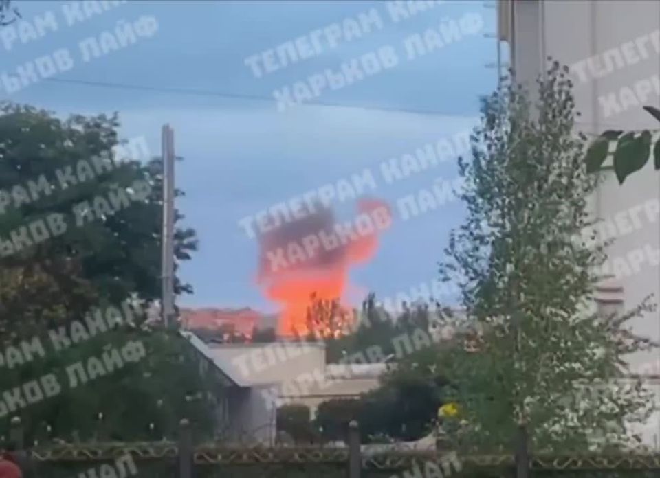 �� �������� ���� ������ ������� �������