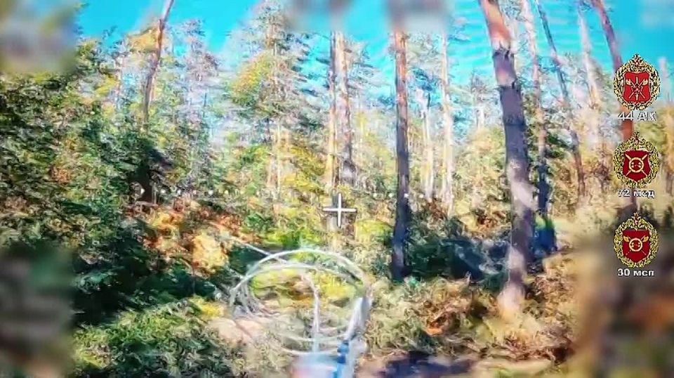 ���������. ������� �������