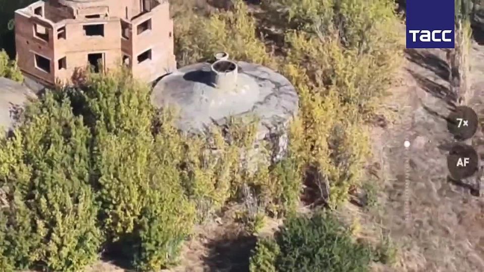 � �������� ���������� ����� ���������� ����, ������������ ����� ������ ���, �������� ���� � ���������� ������� ����������