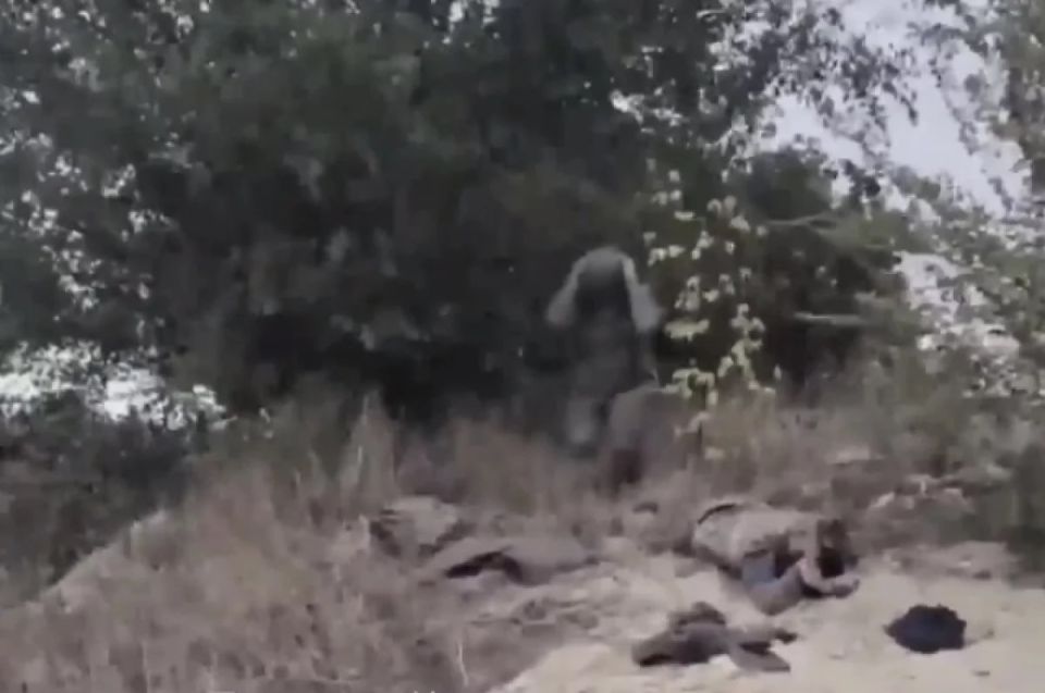 �� �� ����� � ���� ���������� �������� ��� ���������