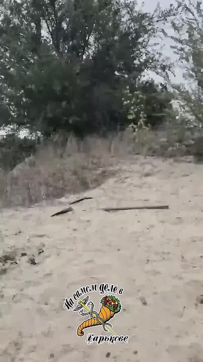 � ������ �������� ����� ��� "�����" ����� � ���� ����� �������� �������� ������������� 15 ��� ��� "����-���"