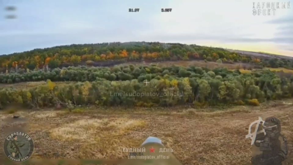 ����� ������ ���, � �������� ��������������� FPV-����� "���" �������� ��� "�������" � ������ �.�. �����������, ����������� �������