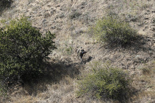 ������� �������: ���� ������ ��� � ����������� ������� ������� ������ ��� ���