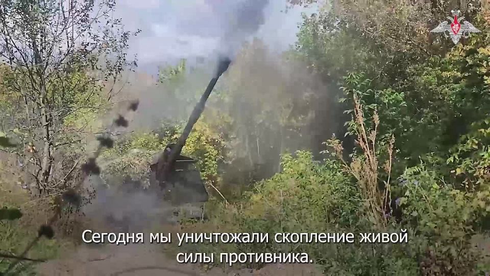  :    -ѻ       