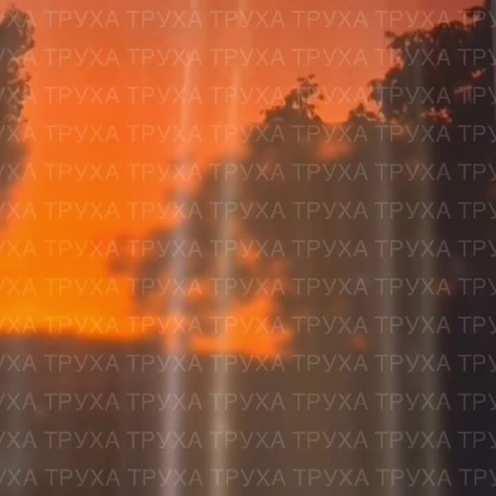    60%          ,  Bloomberg