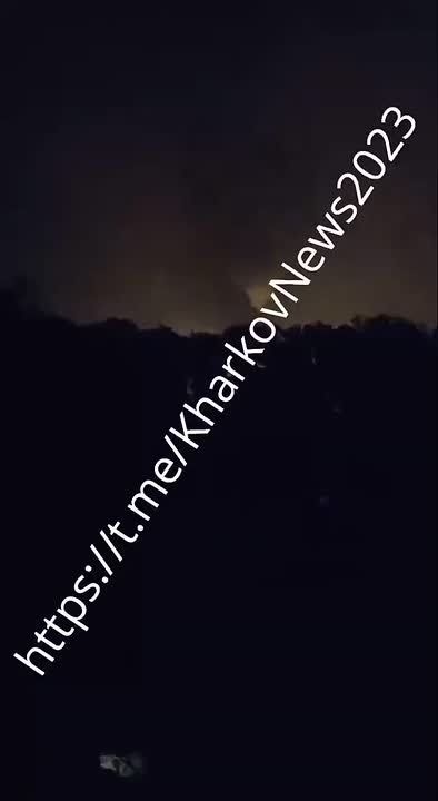       /   
