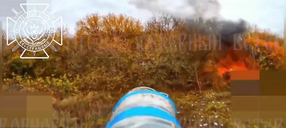    FPV-      ,  Telegram-  