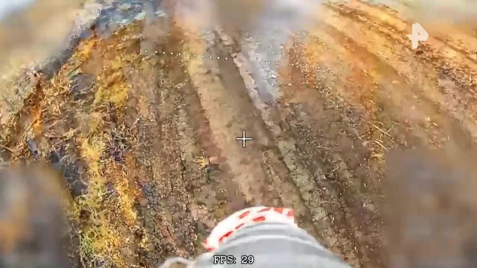 FPV-   &quot;&quot;       