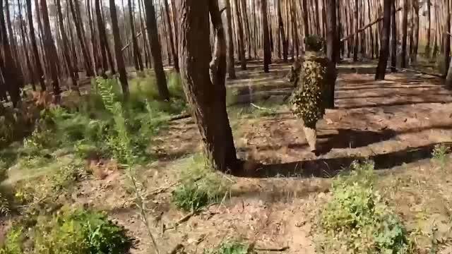 &quot;&quot;         