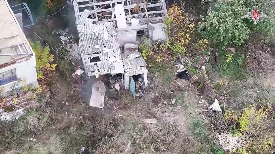  :               