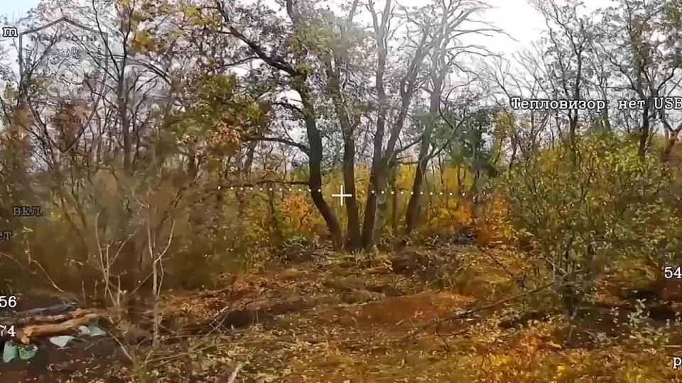 Ликвидация двух бразильских наемников из состава бригады НГУ «Хартия»