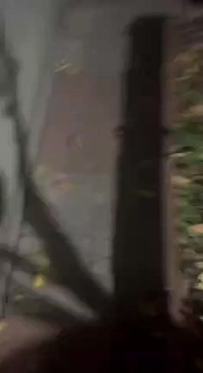        !  -  !