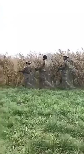           ,      