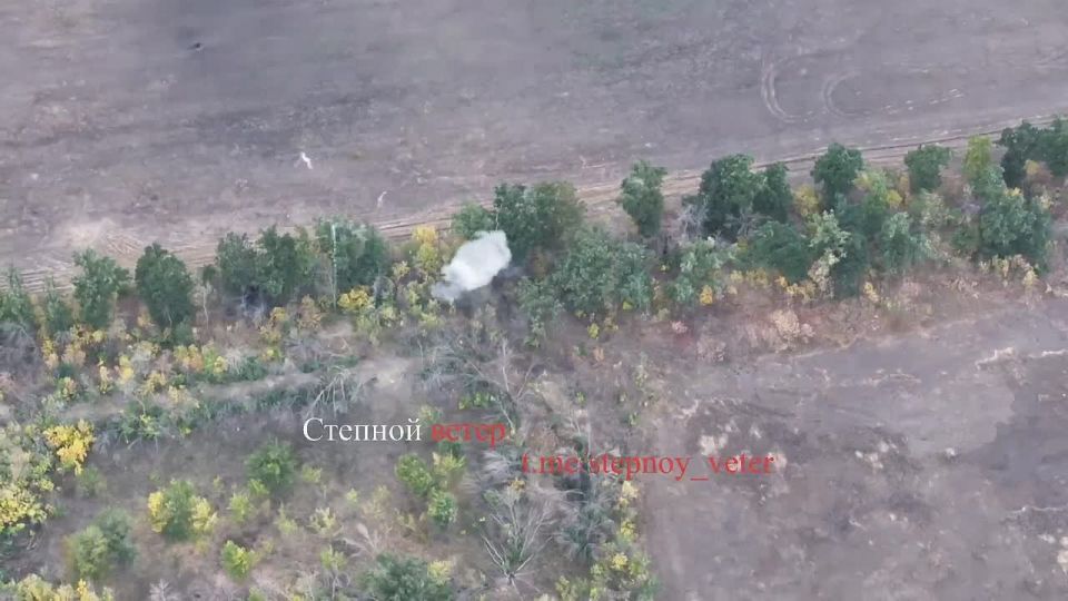 #__.       &quot;&quot;   