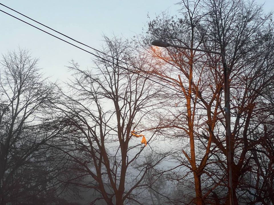 Минусовые температуры придут в Приморье