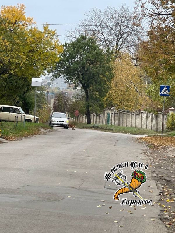 ����� ���, ������ ��� ��-����������